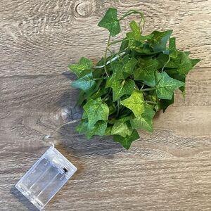 Dolls Kill Current Mood Obsession Box Faux Ivy Twinkle Glow Fairy String Lights.